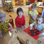 phoca_thumb_m_pernky 21 Fotogalerie